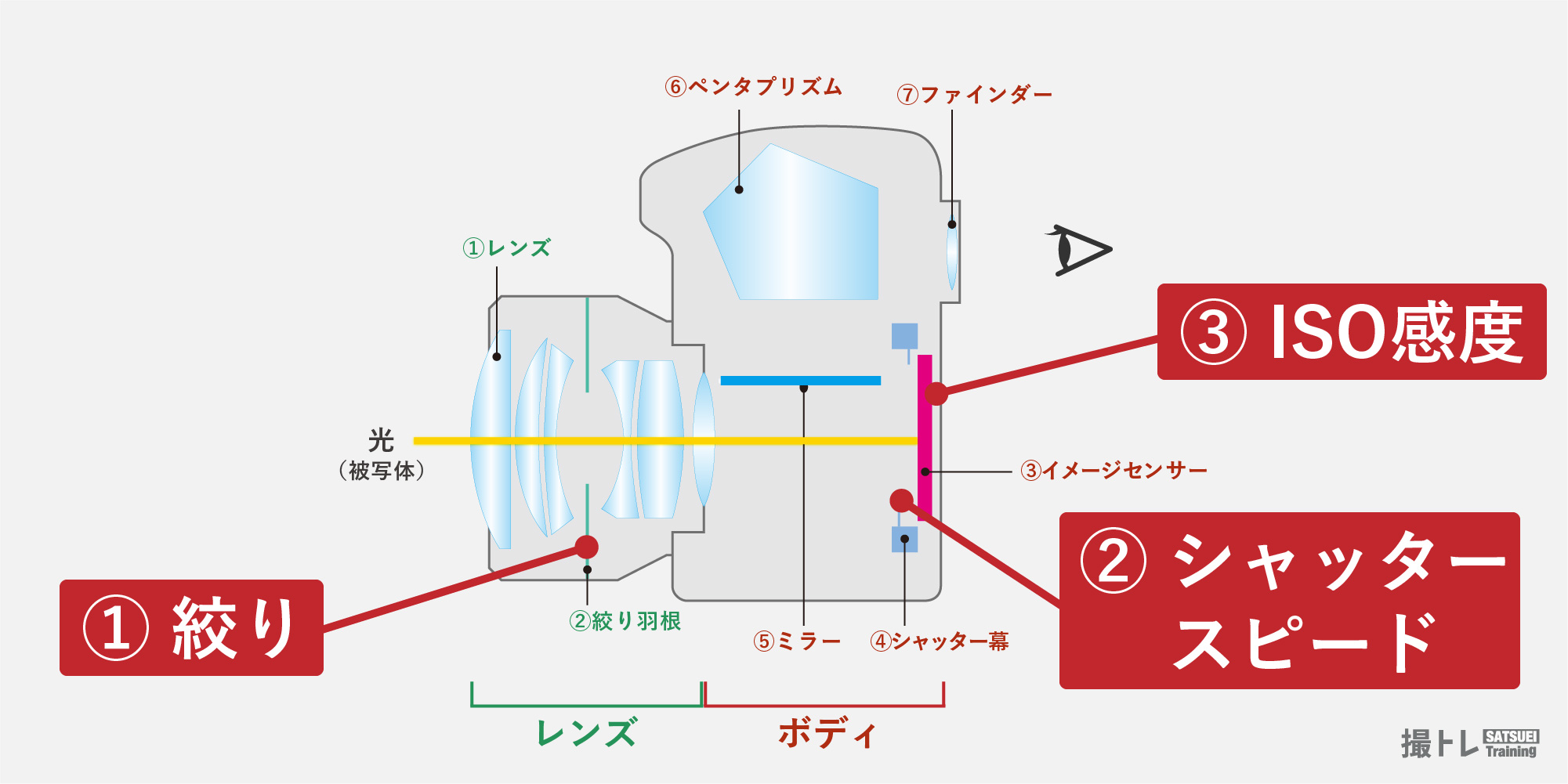 活動歴および当時の関連ビジュアル記録